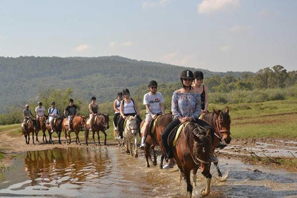 Kusadasi Horseback Riding Adventure: Tours from Port and Hotels