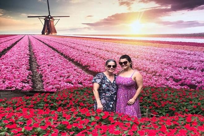 Discover Holambra: A Brazilian Oasis of Flowers and Dutch Windmills
