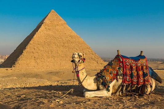 Cairo and Hurghada: Ultimate Egypt Vacation Package