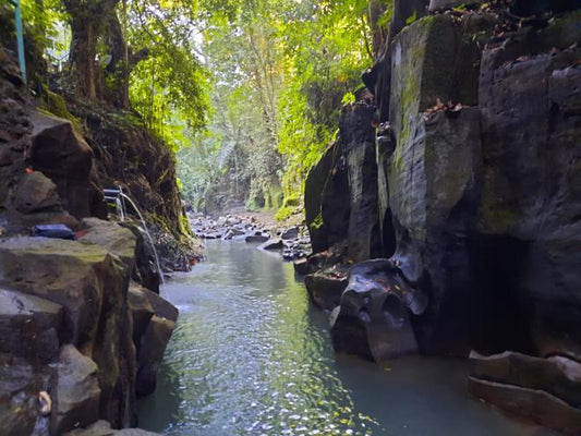 Tailor-Made Private Ubud Adventure: Discover Your Way