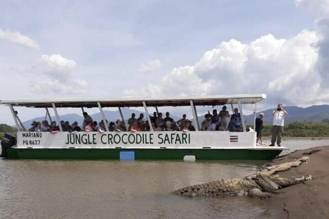 Crocodile Safari & Beach Exploration: A Thrilling Day Tour from San Jose to Jaco
