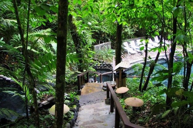 Arenal Hanging Bridges and Tabacon Hot Springs Day Tour from San Jose