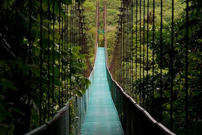 San Jose to Arenal Day Excursion: Discover the Hanging Bridges & Relax at Baldi Hot Springs Resort