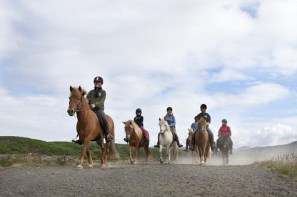 Experience Reykjavik: Whale Watching and Horseback Riding Adventure