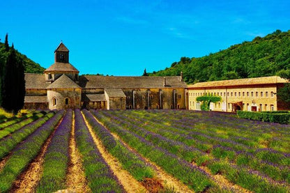7-Day Exclusive Burgundy Wine Tastings and Riviera Tour: Provence, Nice, & Monaco