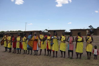 One-Day Maasai Mara Safari Adventure by Road