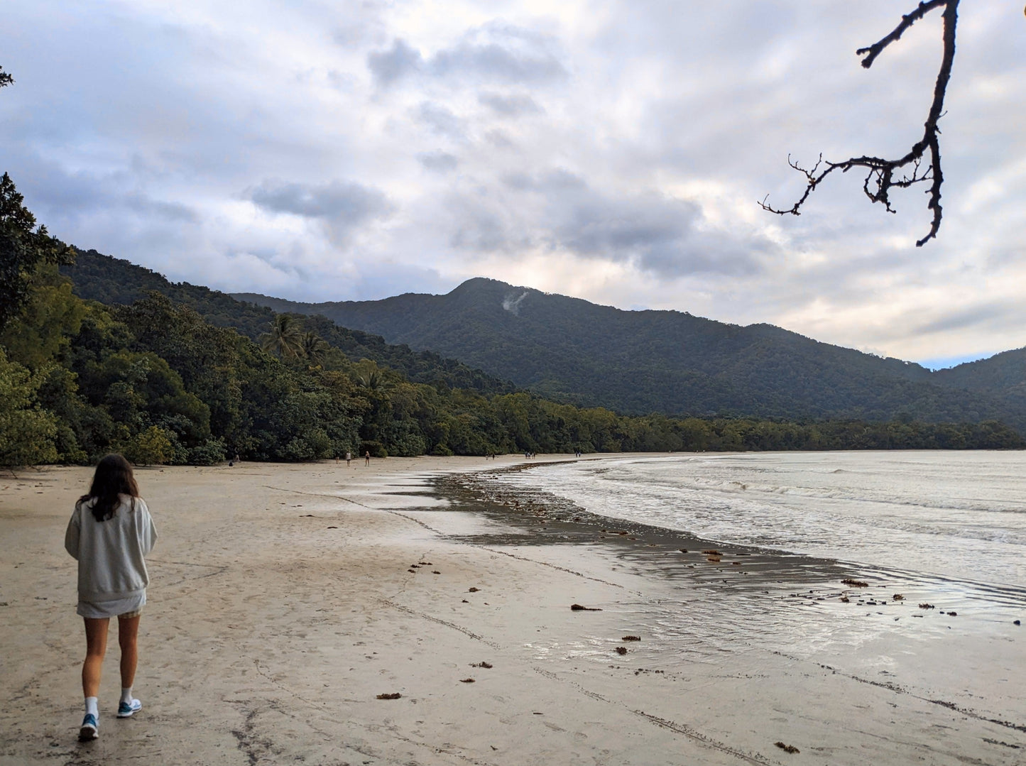 Down Under Discovery: Epic Australian Adventure - Sydney to Cairns