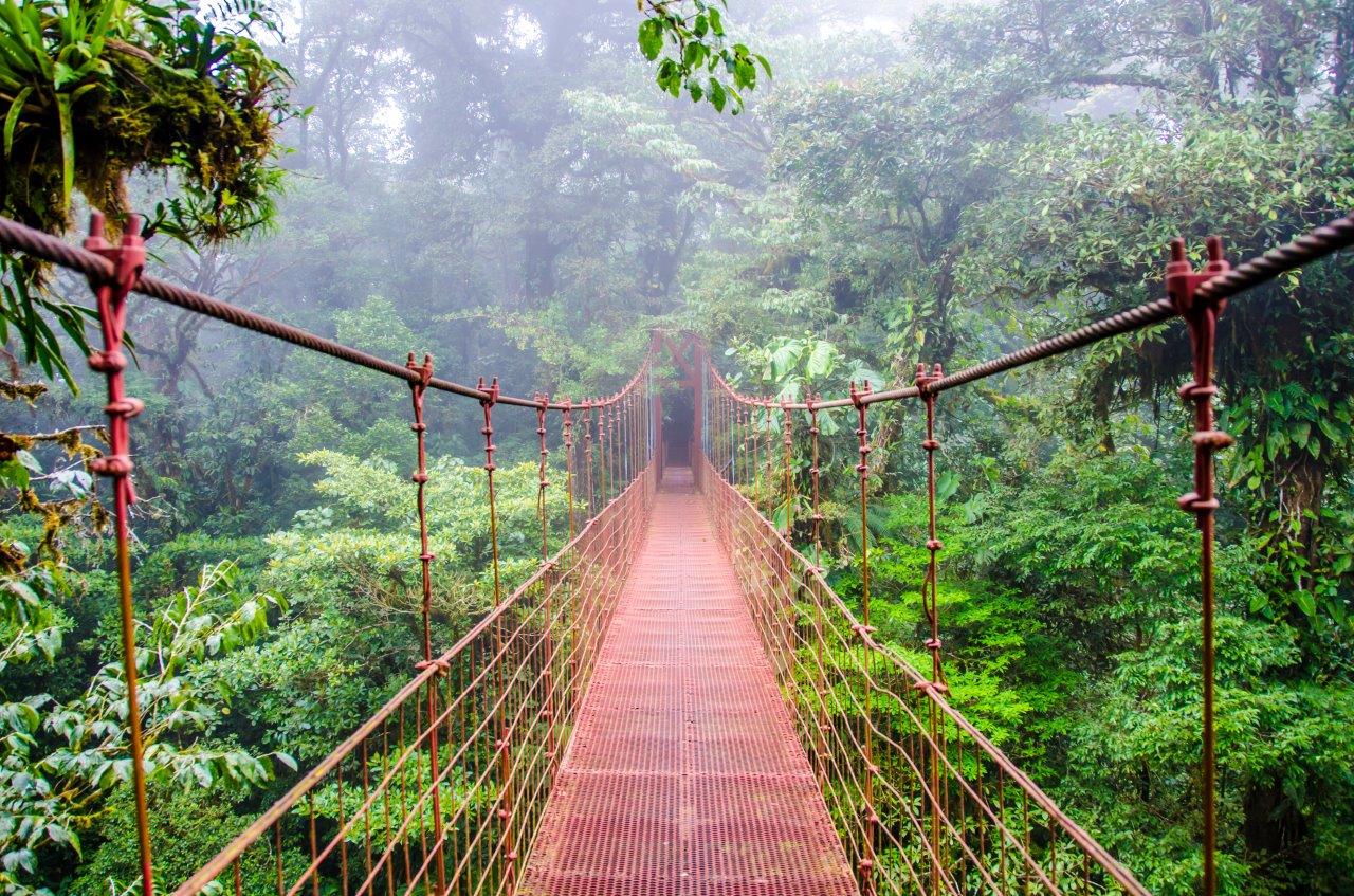 Ultimate Costa Rica Experience: 15-Day Adventure