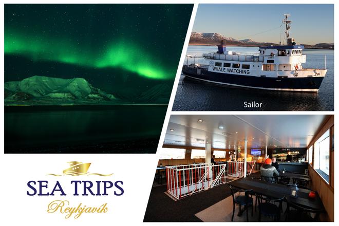 Reykjavik Northern Lights Cruise: An Enchanting Evening at Sea