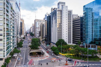 São Paulo Layover Tour: Private 6-Hour Exploration of Main Sights from GRU Airport