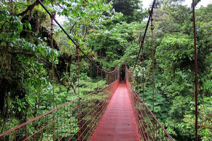 San Jose to Monteverde Cloud Forest and Sky Adventure Park: A Full-Day Excursion