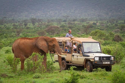 Samburu and Aberdares National Park 4-Day Safari Adventure