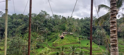 Ultimate Ubud Adventure: Private Full-Day ATV Ride and Bali Swing Experience