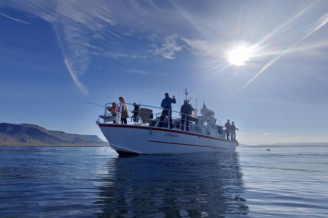 Reykjavik Premium Sea Fishing Experience with Gourmet Meal