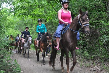Kusadasi Horseback Riding Adventure: Tours from Port and Hotels