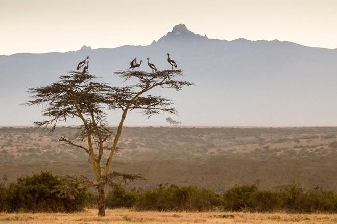 Mount Kenya 5-Day Hiking Expedition: Explore the Sirimon Route