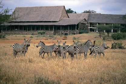 Mombasa to Tsavo West: 2-Day Wildlife Safari Adventure