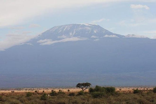 Amboseli 2-Day Safari Adventure: Scenic Flight from Diani