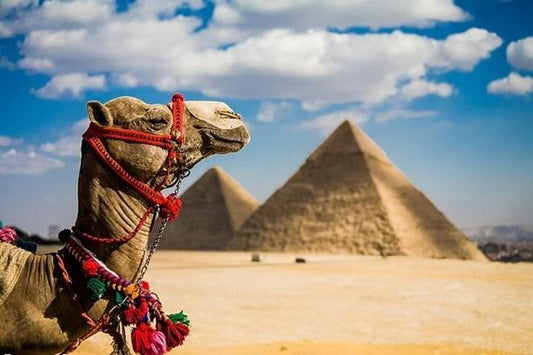 Explore the Wonders of Cairo and Alexandria: An Enthralling 5-Day, 4-Night Tour