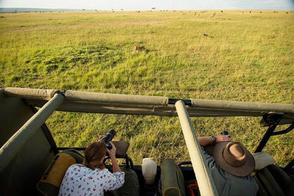 Explore the Maasai Mara: An Exhilarating 2-Day Safari Adventure