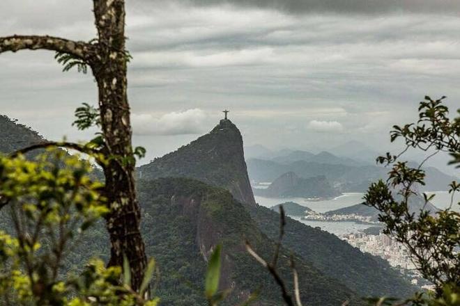 Exclusive 6-Hour Tijuca Forest Hiking Adventure: Discover Waterfalls, Scenic Viewpoints & Enjoy a Picnic