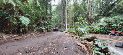 Ultimate Ubud Adventure: Private Full-Day ATV Ride and Bali Swing Experience