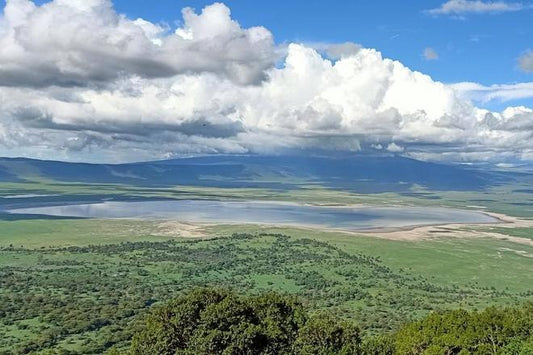 Ngorongoro Crater Full-Day Excursion
