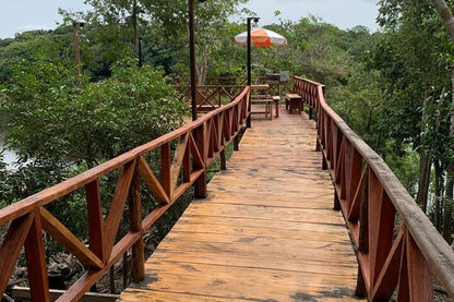 4-Day Amazon Jungle Adventure at Mamori Lodge: Explore the Heart of the Amazon