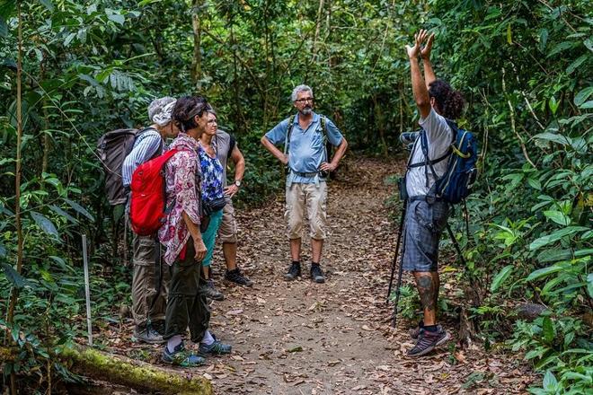 Explore Corcovado and Arenal Volcano: 8-Day, 7-Night Adventure Package