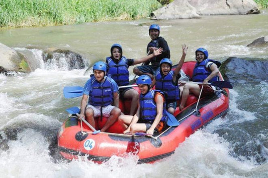 Private Half-Day White Water Rafting Tour for Small Groups
