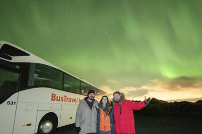 Reykjavik Northern Lights Adventure: Guided Bus Tour