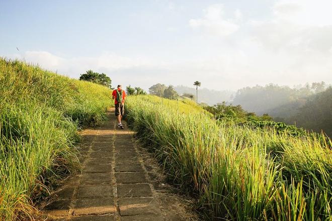 Campuhan Ridge Walk: Explore Rice Terraces, Volcanoes, and Water Temples