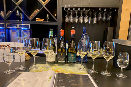 Small-Group Chablis Wine Tasting Experience: Explore 20 Exquisite Wines from Paris