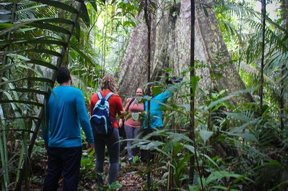 Discover the Amazon Jungle: 3-Day, 2-Night Adventure at Amazon Mamori Lodge