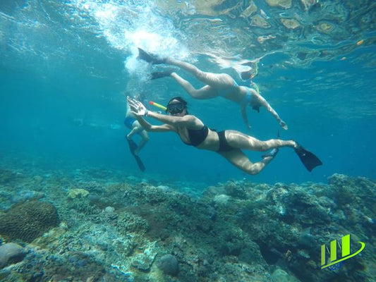All-Inclusive Snorkeling Adventure at Manta Bay with Kelingking Beach Visit in Nusa Penida
