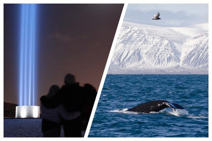 Reykjavik Whale Watching and Imagine Peace Tower Tour