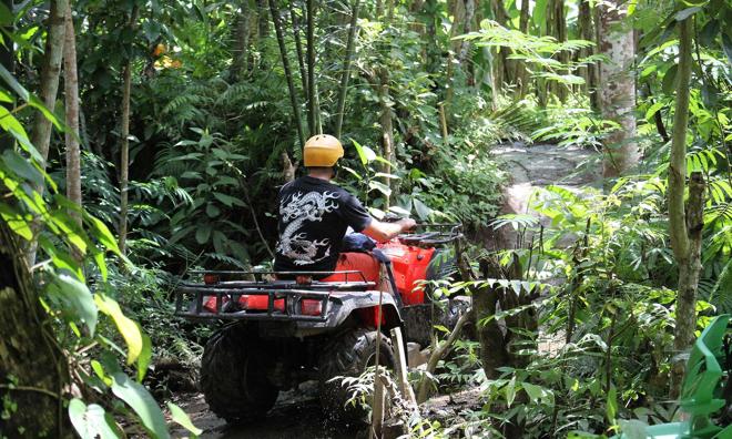 Ultimate Bali Adventure: Full-Day Quad Bike and Heaven Swing Experience