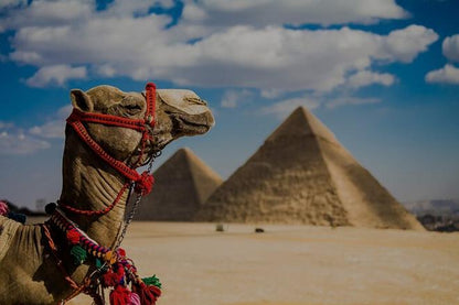 Cairo Layover Excursion: 9-Hour Tour of Giza Pyramids, Sakkara, and Memphis