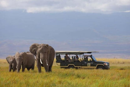 Amboseli 2-Day Safari Adventure: Scenic Flight from Diani