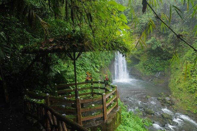 Private Day Tour to La Paz Waterfall Gardens & Tabacon Hot Springs from San Jose