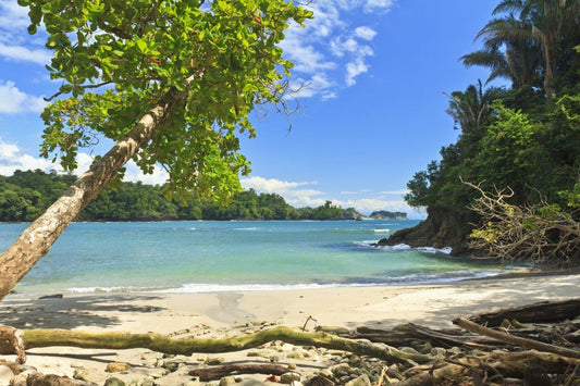 Manuel Antonio Beach Getaway: A Dreamy Short Vacation
