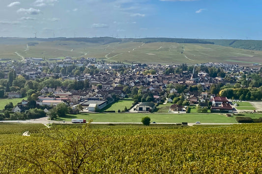 Exclusive Burgundy Wine Experience: Discover 4 Estates with 20 Chablis Tastings from Paris