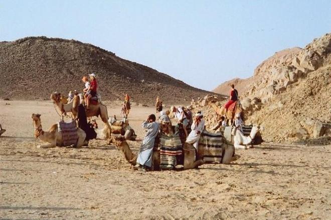 Desert Safari and Traditional Bedouin Barbecue Experience from Hurghada by 4x4