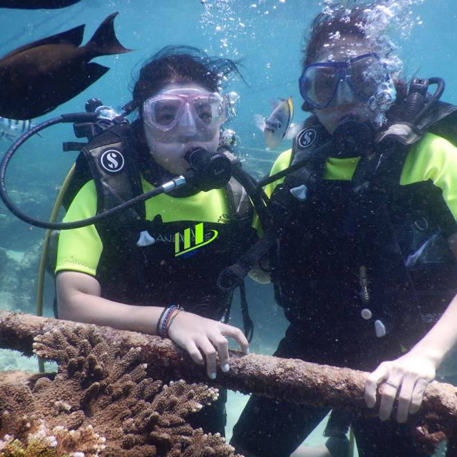 Nusa Dua Exclusive Diving Adventure: Private Bali Underwater Exploration