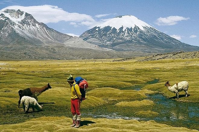 Chilean High Plateau 4-Day Adventure: Discover Incredible Landscapes