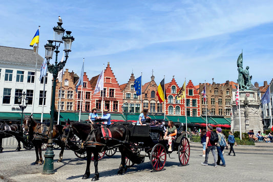 Bruges Highlights and Secret Spots: Exclusive Small-Group Minivan Tour from Paris