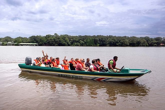 Tortuguero National Park 2-Day, 1-Night Getaway Package