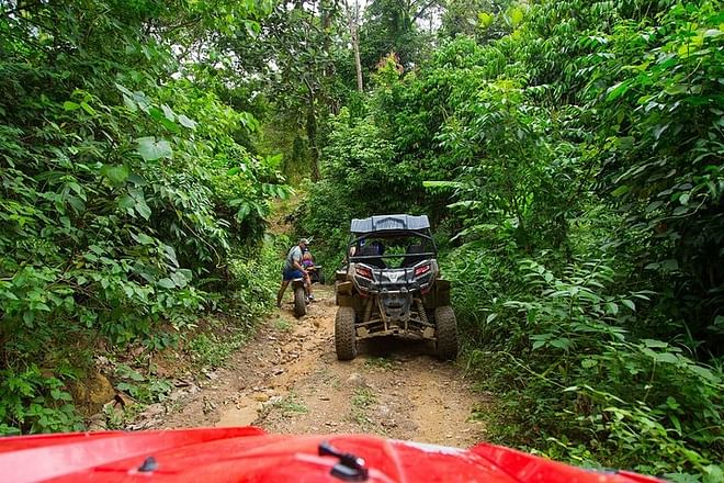 San Jose Exclusive: Private Jungle and River Buggy Adventure
