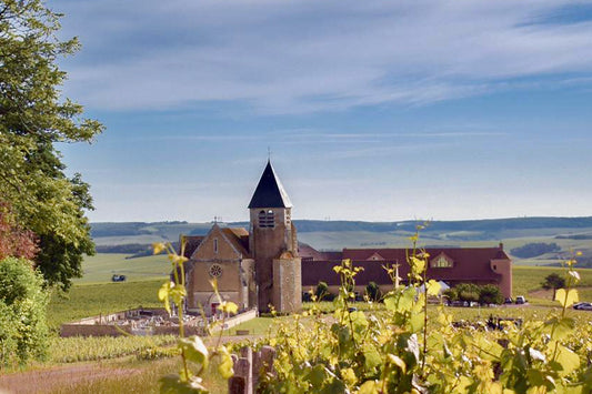 Exclusive Burgundy Wine Tour: Chateau Pommard & Chablis with 15 Tastings from Paris