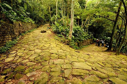 Sao Paulo: Private Eco Tour of the Atlantic Forest, Valleys, and Hills